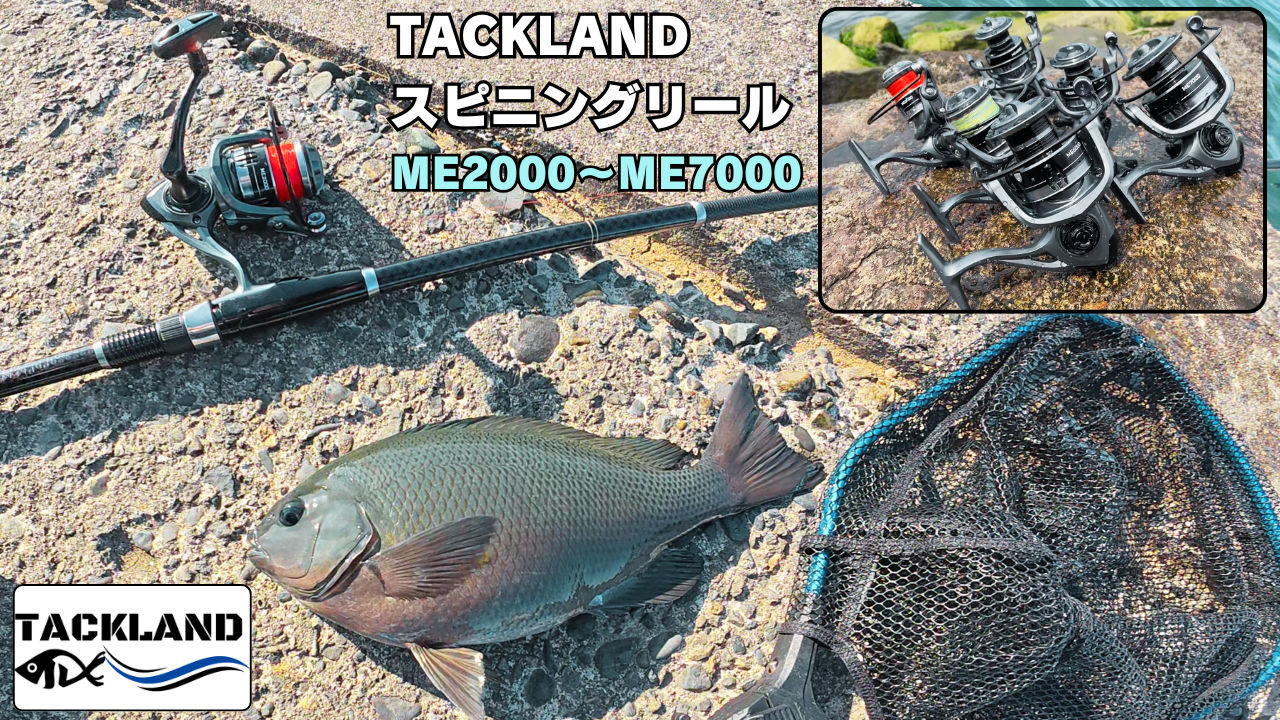 Amazon | 【TACKLAND】 高コスパ スピニングリール 2+1BB ギア比(5.2:1